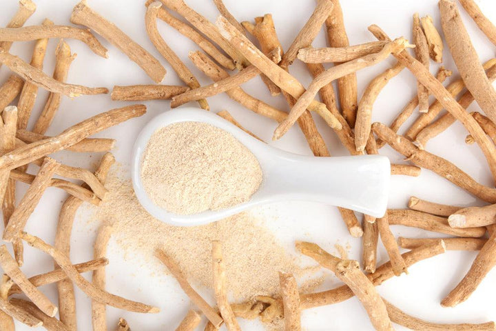 Why you should add Ashwagandha to your daily skincare routine?