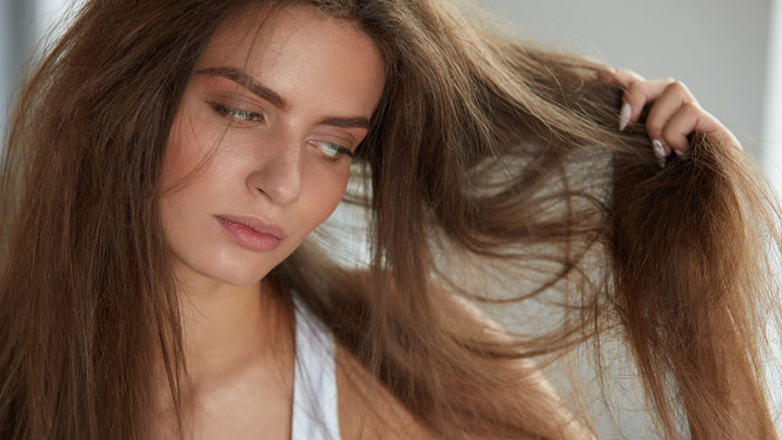 The Science of Oily Scalp and Dry Hair: Decoding the Hair and Scalp Relationship