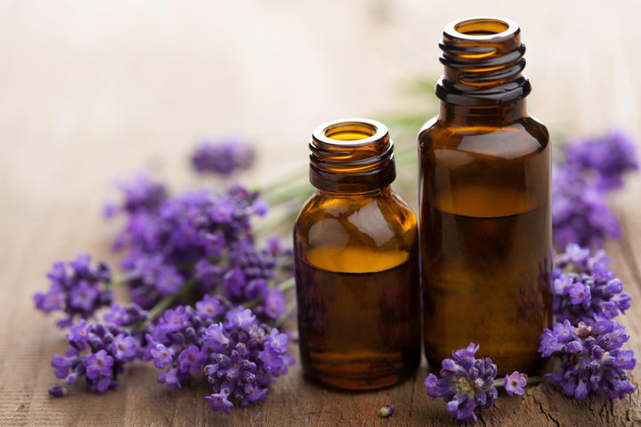 Herbal properties of lavender