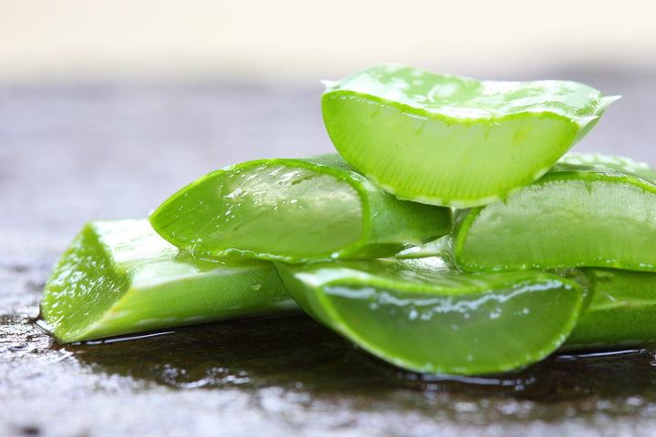 What are the various benefits of aloe vera for the hair?